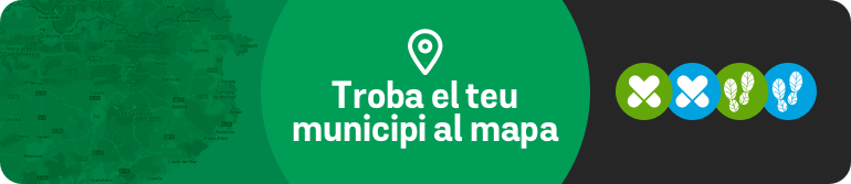 Municipis actius