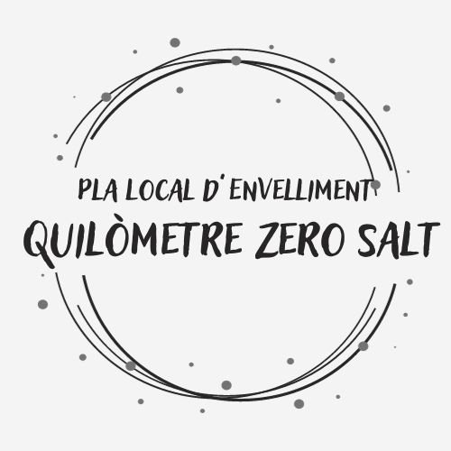 Pla Local d'Envelliment de Salt